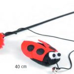 6118.2-ladybug