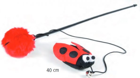6118.2-ladybug